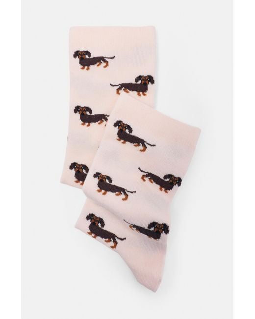 Chaussettes Motif Teckel Pull&Bear en coloris Pink