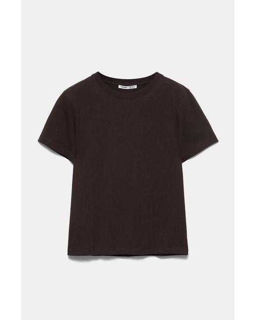 Pull&Bear Brown Short Sleeve T-Shirt 100% Cotton