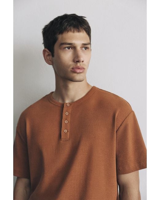 Pull&Bear Brown Slim-Fit Henley T-Shirt for men