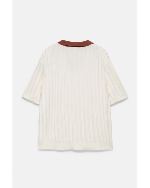 Pull&Bear Polo Met Contrasterende Kraag in het Natural voor heren