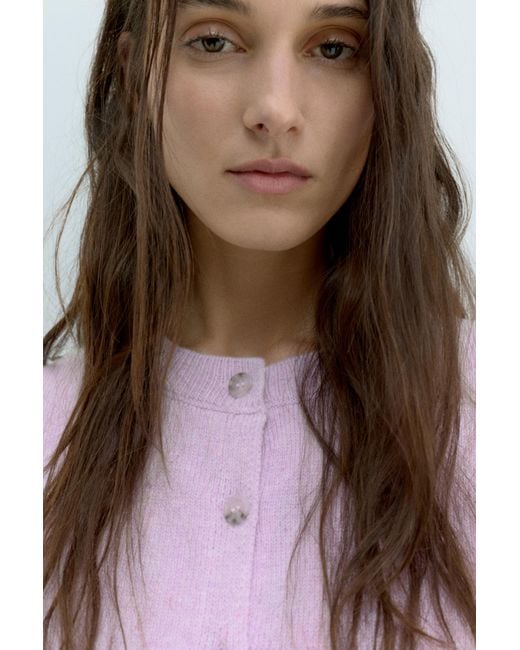 Pull&Bear Purple Short Buttoned Cardigan