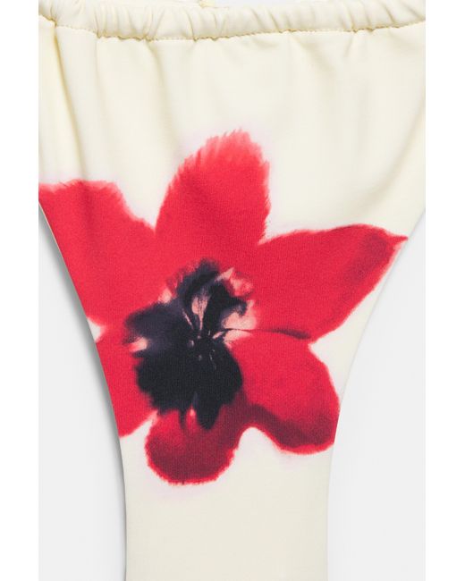 Pull&Bear Brown Floral Bikini Bottoms