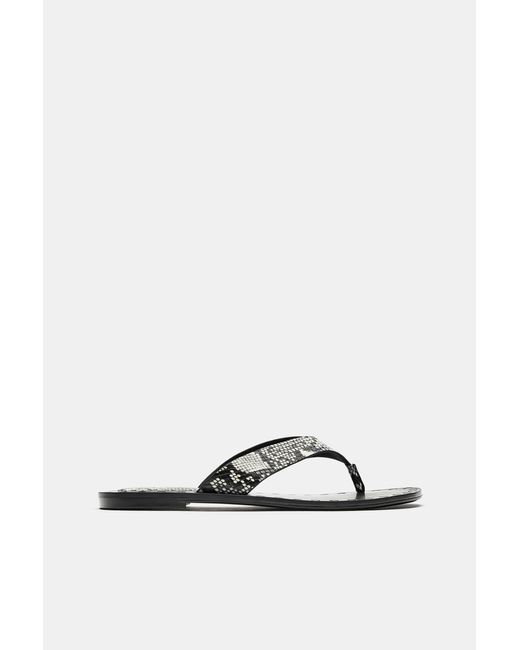 Pull&Bear Blue Flat Studded Sandals
