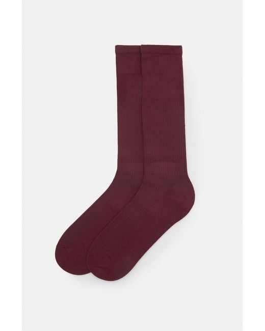 Pull&Bear Purple Long Socks