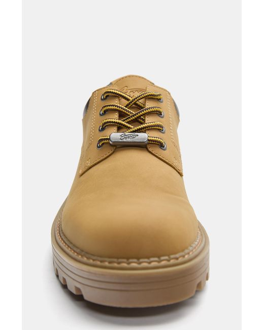 Pull&Bear Multicolor Stwd Lace-Up Shoes for men