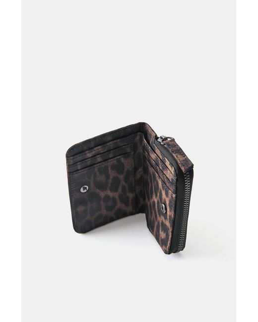 Portefeuille Pull&Bear en coloris Multicolor