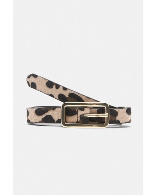 Pull&Bear Brown Leopard Belt