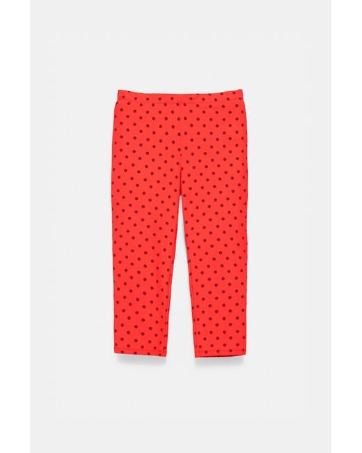 Pull&Bear Red Polka Dot Capris