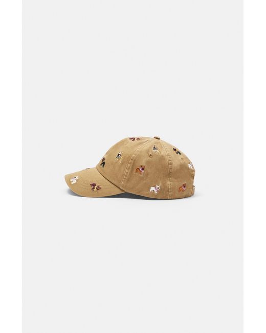 Casquette Brodée Chiots Pull&Bear en coloris Natural