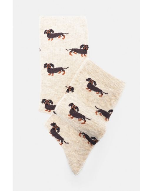Pull&Bear Sokken Met Teckelprint in het Natural