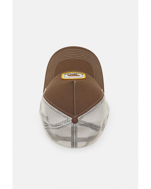 Pull&Bear Brown Savage Soul Cap for men