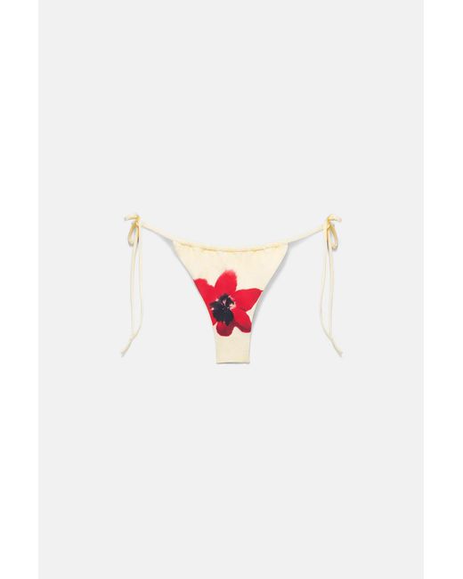 Pull&Bear Brown Floral Bikini Bottoms