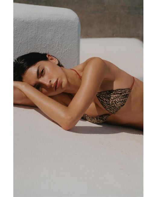 Pull&Bear Brown Triangle Animal Print Bikini Top