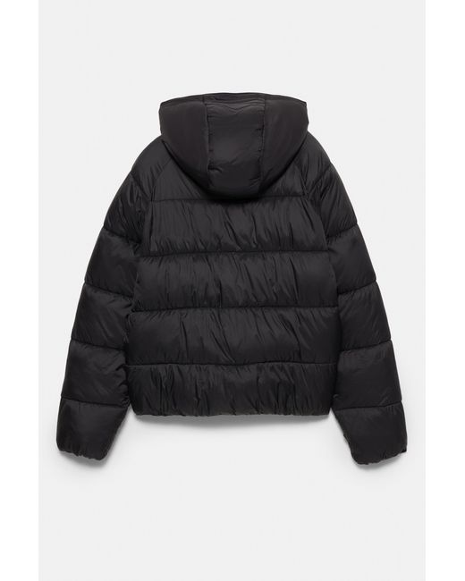 Doudoune Pull&Bear en coloris Black