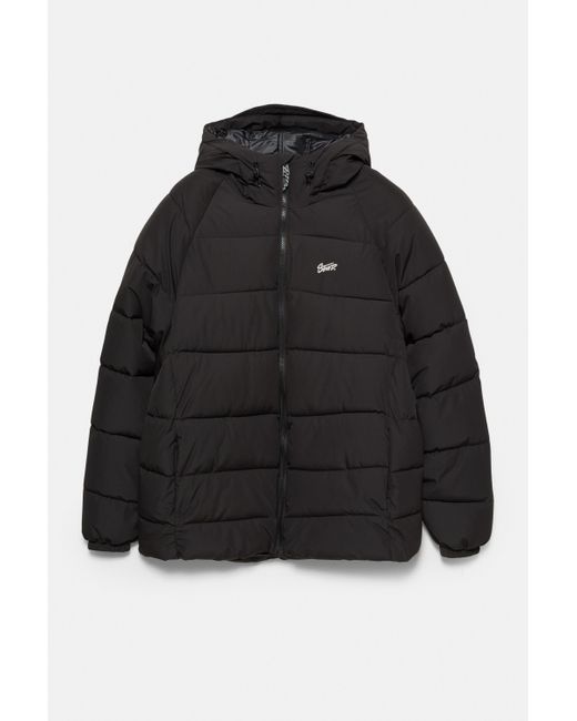 Pull&Bear Black Stwd Hooded Puffer Jacket for men