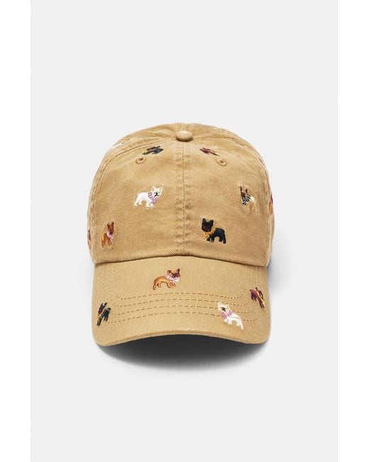 Casquette Brodée Chiots Pull&Bear en coloris Natural