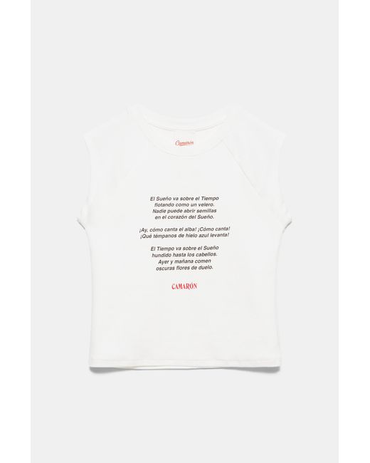 Canotta Camarón De La Isla di Pull&Bear in Multicolor