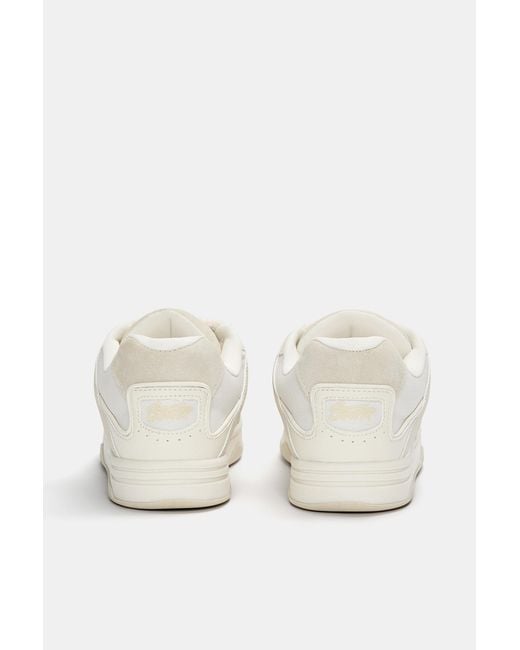 Pull&Bear White Stwd Skate-Sneaker Mit Schnürsenkeln