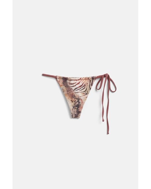 Pull&Bear Blue Animal Print Bikini Top