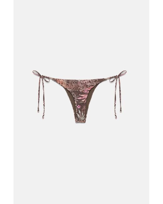 Pull&Bear Brown Printed Bikini Bottoms