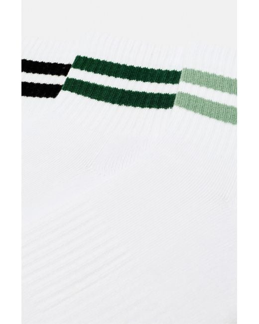 Pull&Bear 3-Pack Gestreepte Sokken in het Multicolor voor heren