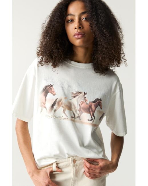 Pull&Bear Multicolor Horse T-Shirt