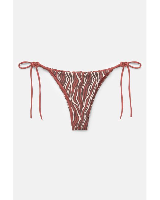 Pull&Bear Brown Bikinislip Mit Zebramuster
