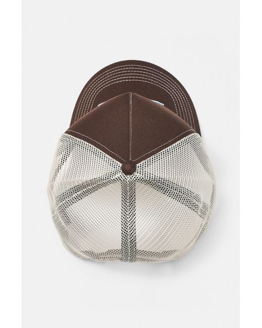 Cappello Trucker New Orleans di Pull&Bear in Brown da Uomo
