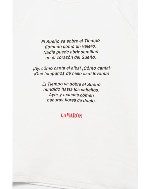 Canotta Camarón De La Isla di Pull&Bear in Multicolor