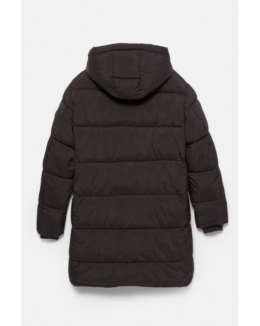 Pull&Bear Lang Gewatteerd Jack in het Black voor heren