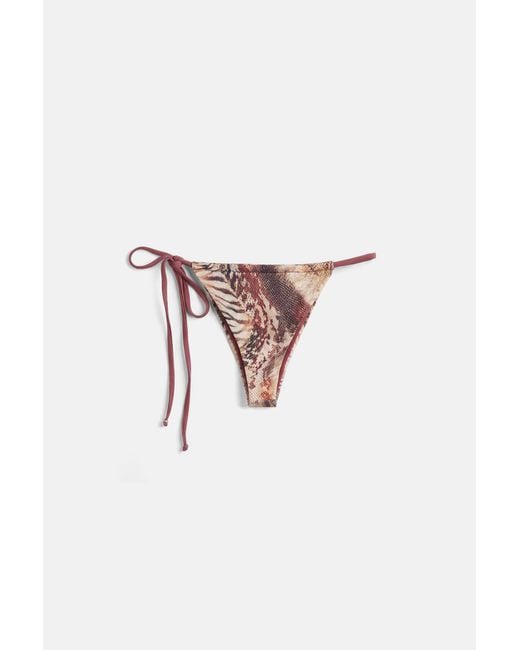 Pull&Bear Blue Animal Print Bikini Top