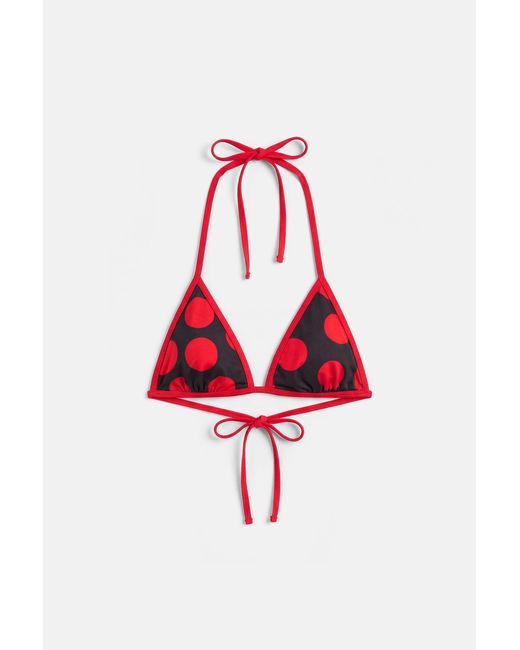 Pull&Bear Blue Polka Dot Triangle Bikini Top