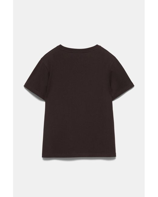 Pull&Bear Brown Short Sleeve T-Shirt 100% Cotton