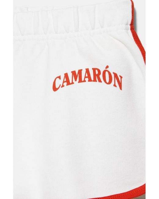 Pull&Bear Multicolor Camarón De La Isla Ribbed Shorts