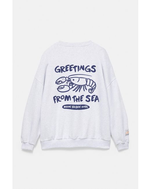 Pull&Bear Sweater Met Kreeftenprint in het Gray