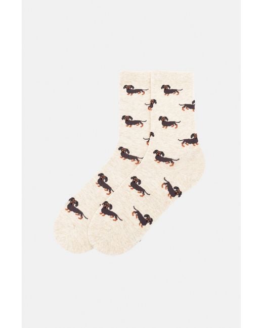 Pull&Bear Sokken Met Teckelprint in het Natural