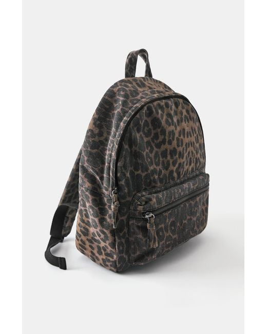 Pull&Bear Black Print Backpack