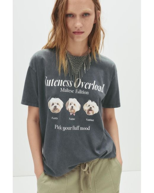 Pull&Bear Gray Dog Graphic T-Shirt