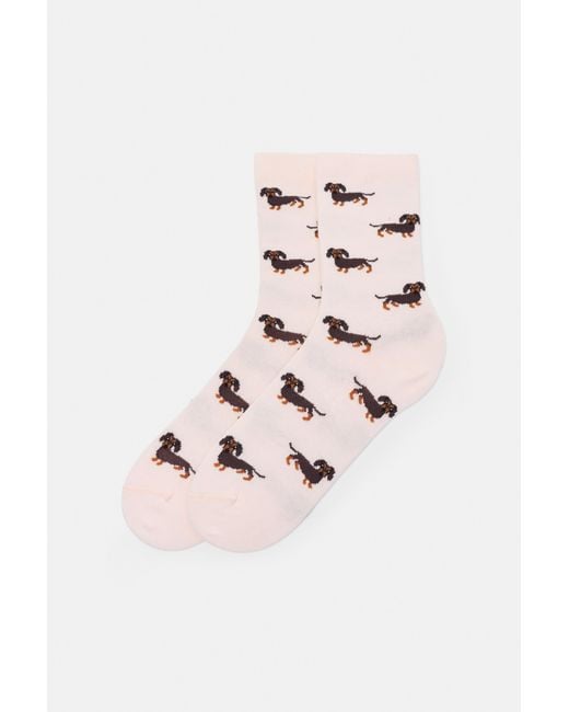 Chaussettes Motif Teckel Pull&Bear en coloris Pink