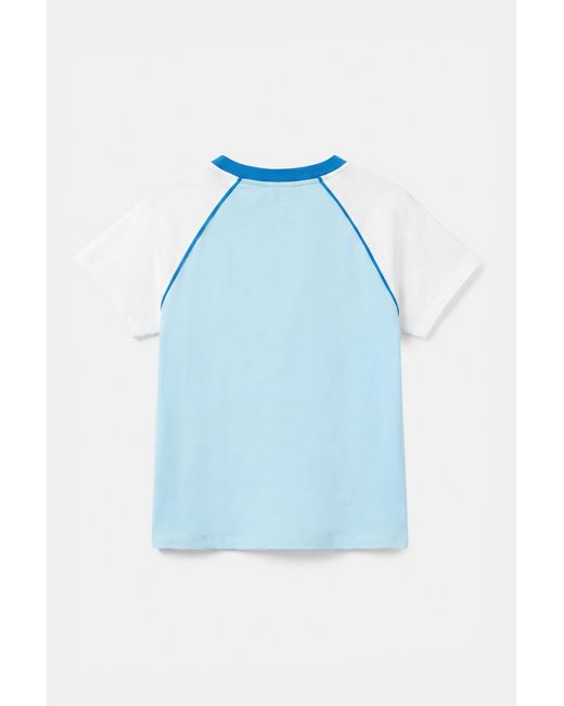 Pull&Bear Blue Argentina Graphic Slim-Fit T-Shirt