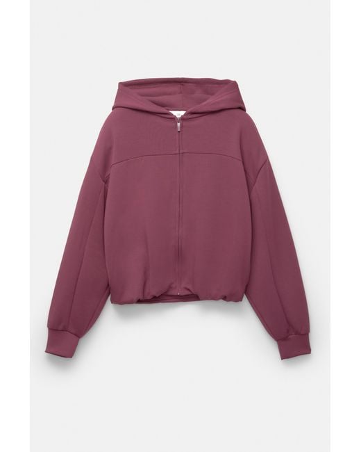 Pull&Bear Purple Soft Touch Hooded Sweatshirt