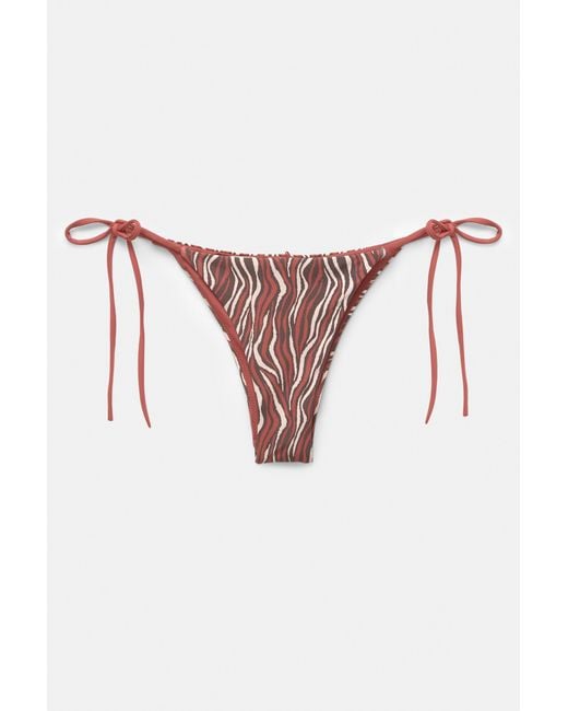 Pull&Bear Black Zebra Print Bikini Bottoms