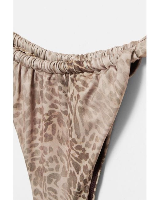 Pull&Bear Brown Leopard Print Triangle Bikini Top