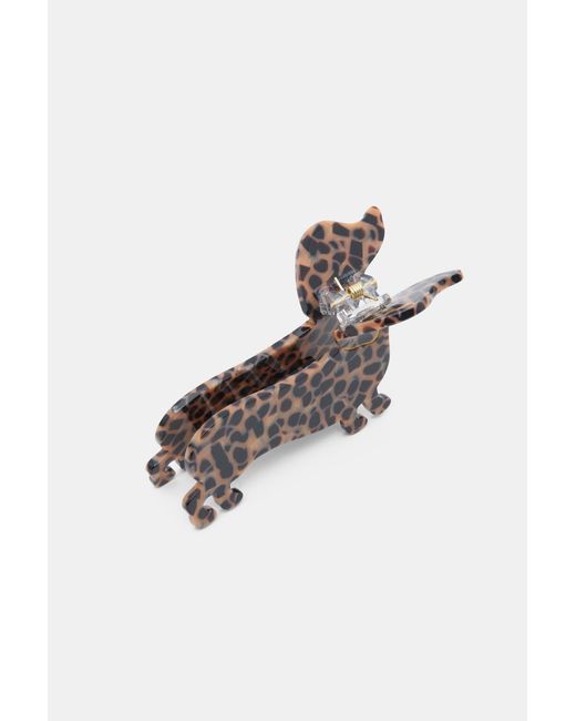 Pull&Bear Brown Dog Hair Clip