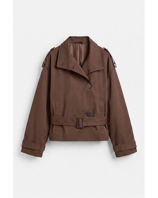 Pull&Bear Brown Short Belted Trench Coat