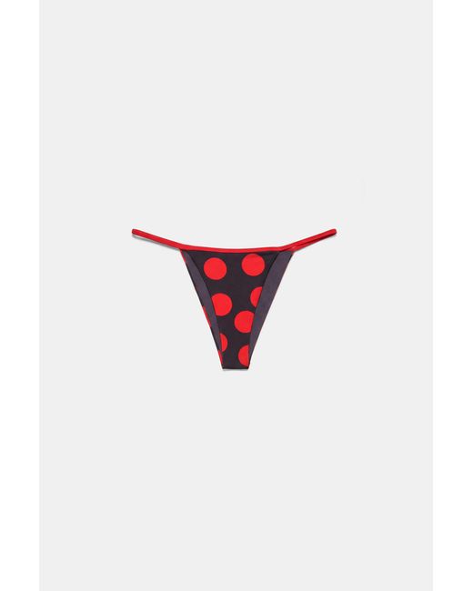 Pull&Bear Brown Polka Dot Bikini Bottoms