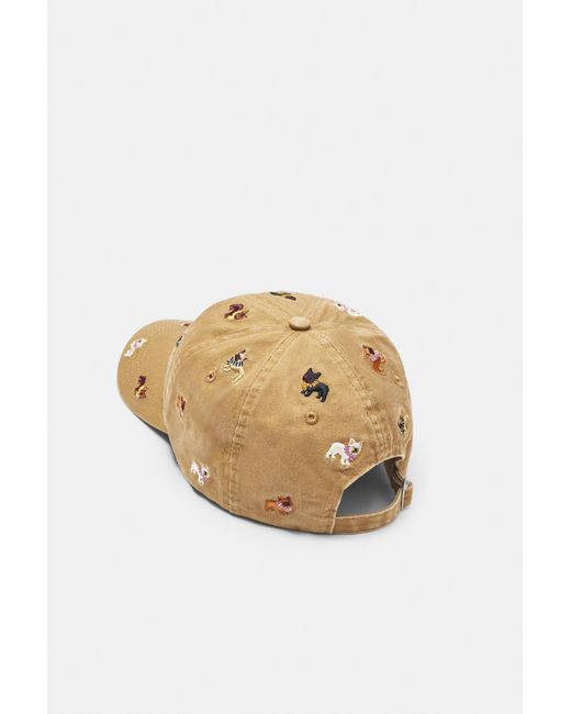 Casquette Brodée Chiots Pull&Bear en coloris Natural