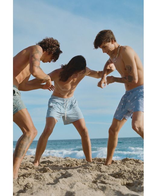 Pull&Bear Blue Embroidered Board Shorts for men