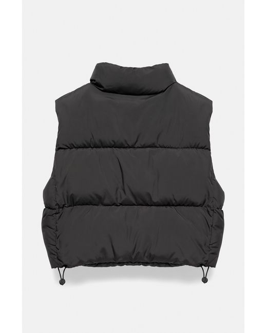 Pull&Bear Black Steppweste