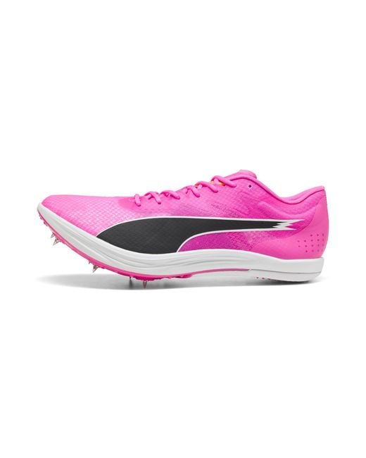 PUMA Purple Evospeed Long Distance Track Spikes for men